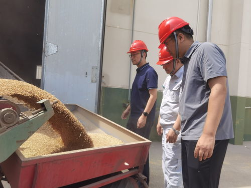 農(nóng)發(fā)行東營市分行 執(zhí)政策性金融之筆，繪就鹽堿地糧豐民安新藍圖